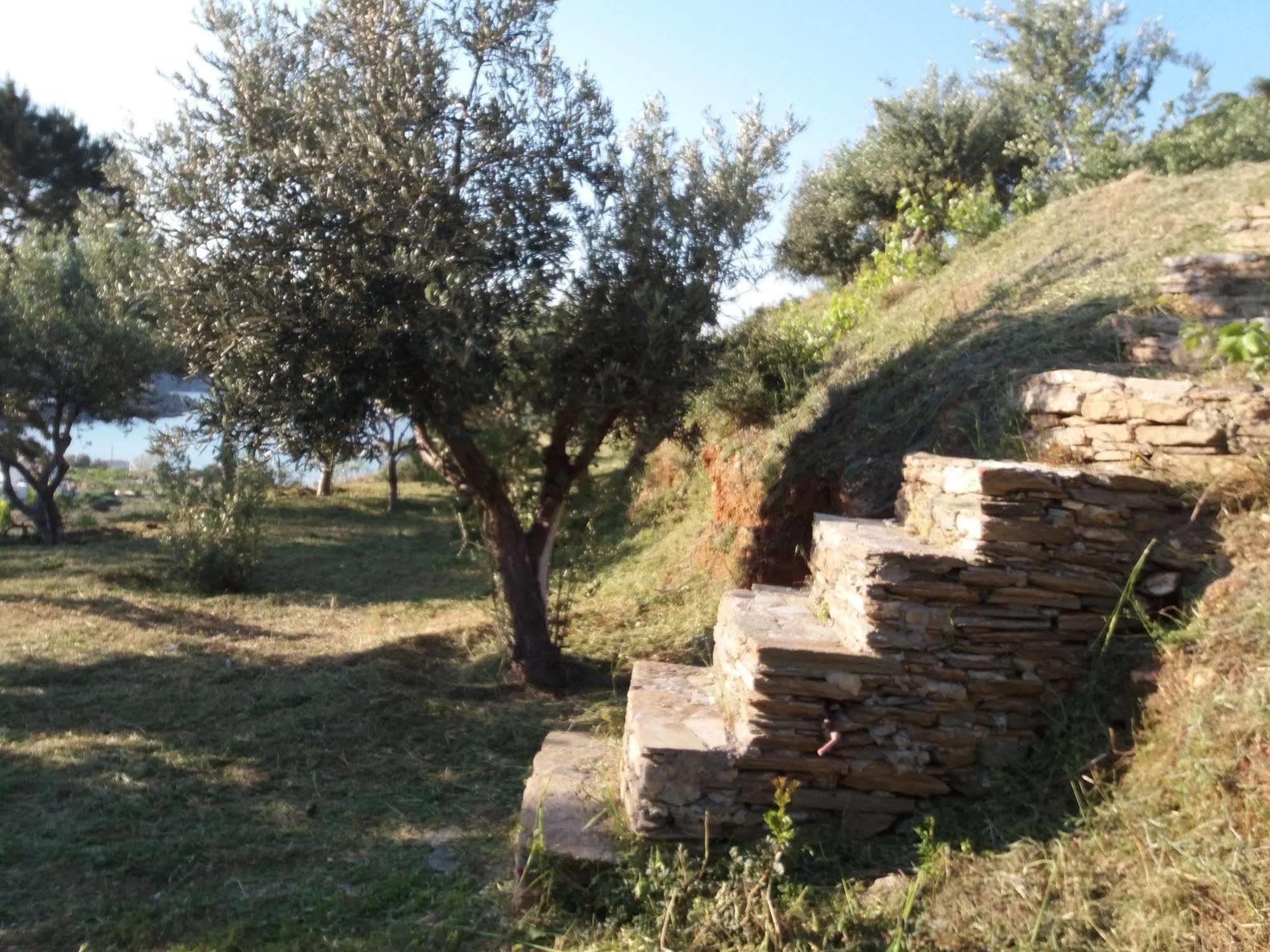 Kypri Kipri (Andros)