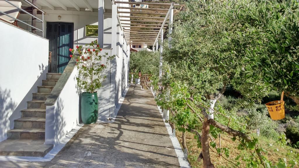 Apartment Kypri Kipri (Andros)